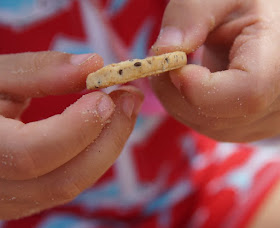 So macht Lernen Spaß: Ein Picknick mit Zahlenkeksen am Strand. Die Kekse in Bio-Qualität eignen sich super für ein Picknick.