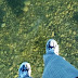 Frozen Lake, hikers seems like walking over a glass