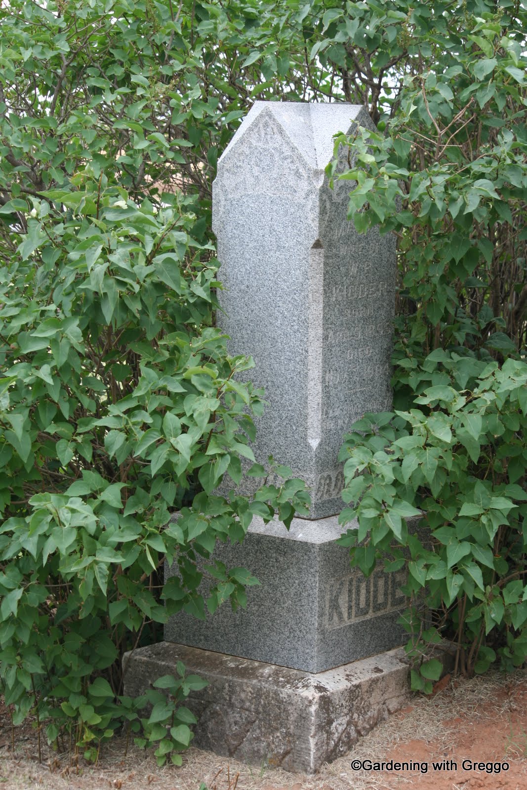 Gardening with Greggo My Favorite Images from 2011