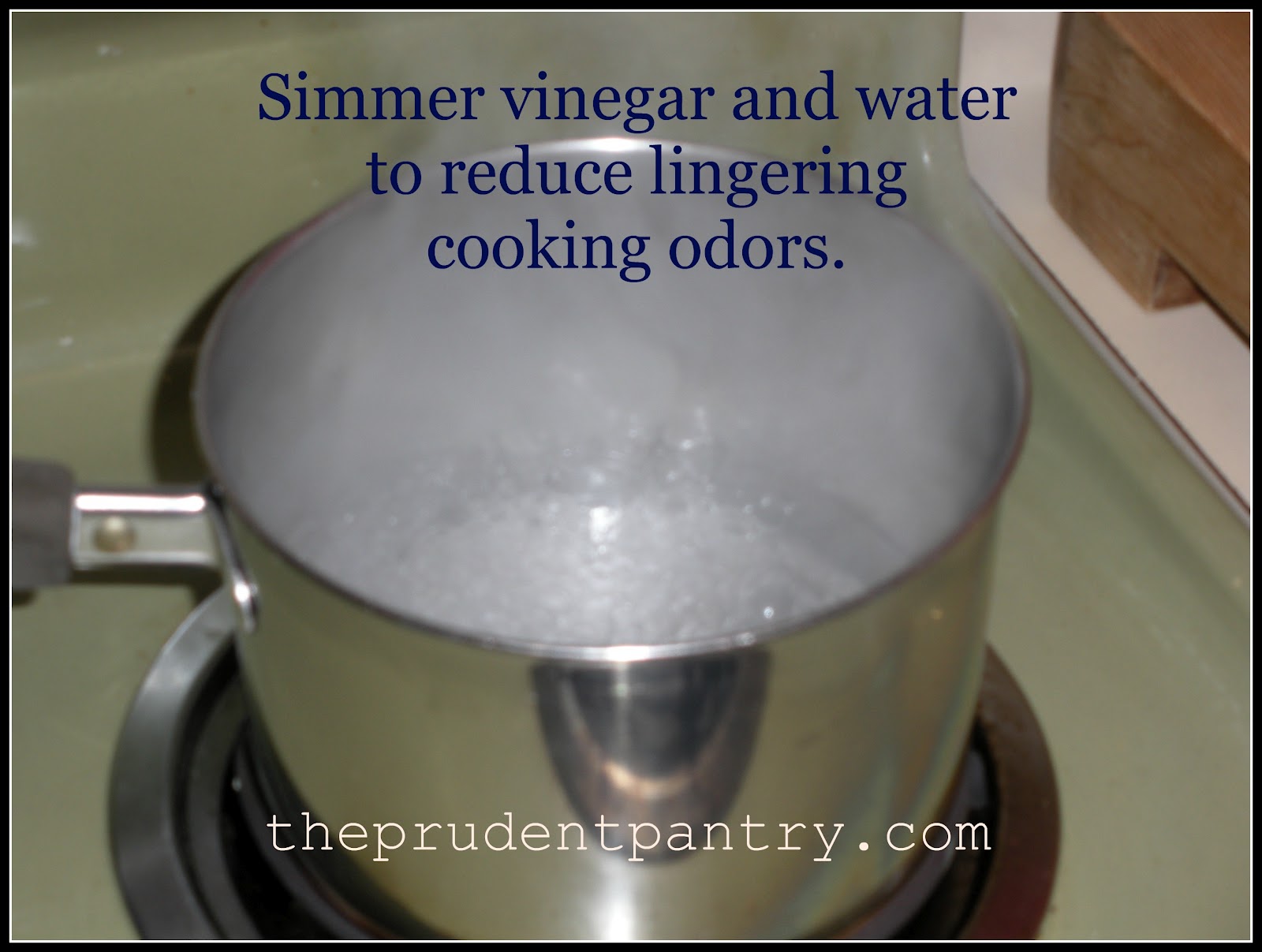 The Prudent Pantry Clearing the Air Removing Cooking Odors