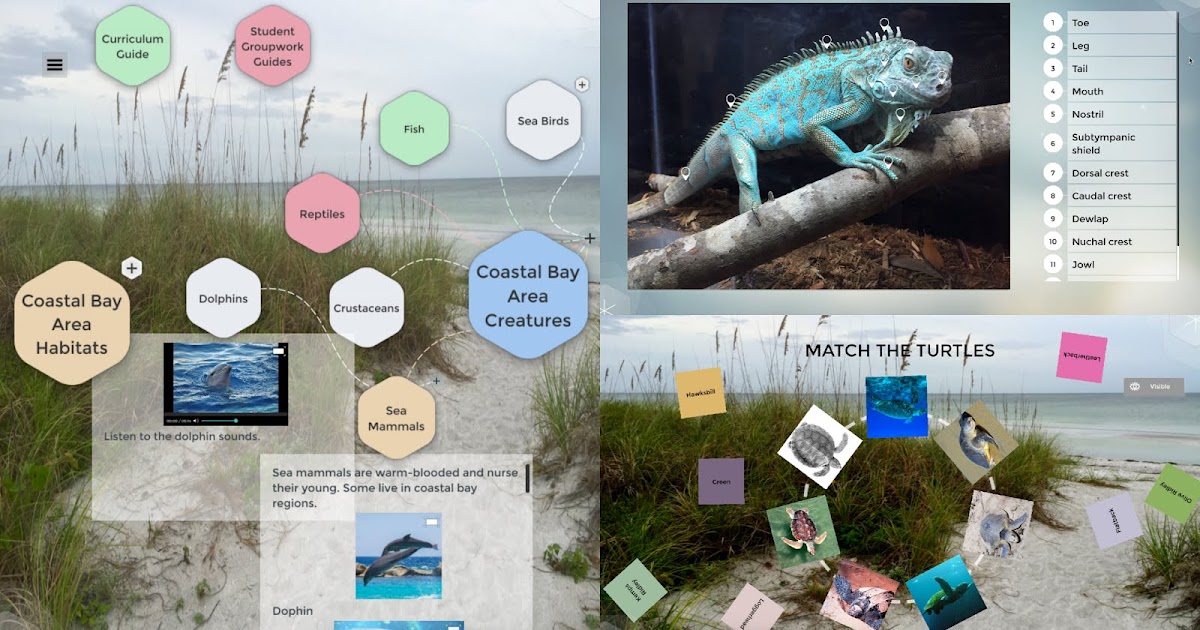 Interactive Multimedia Technology UPDATE NUITEQ's Snowflake ABC has