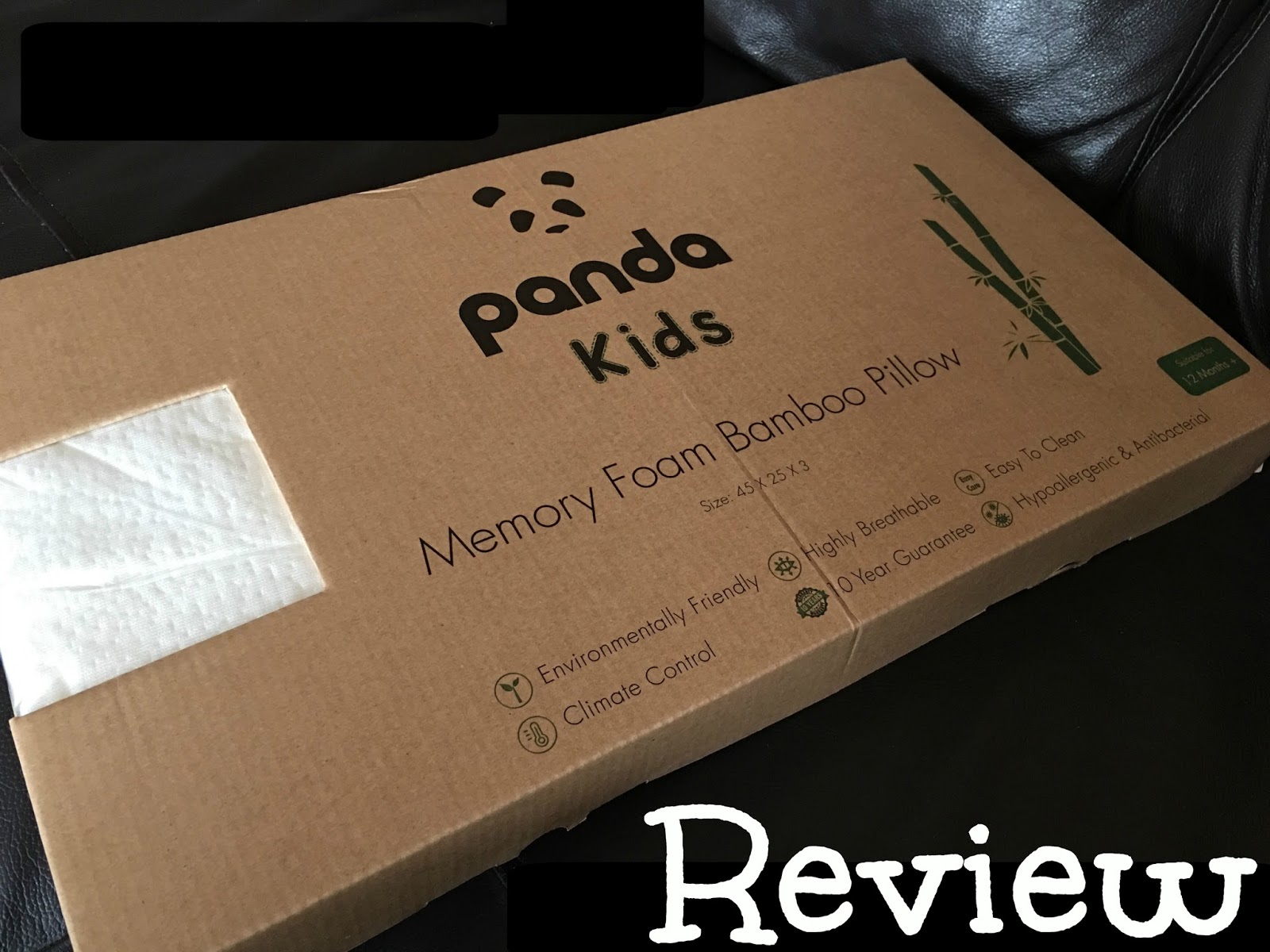 Playdays and Runways Panda Memory Foam Bamboo Pillow Review