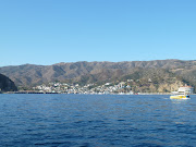 . off Catalina Island. We had to take a little tender boat to shore.