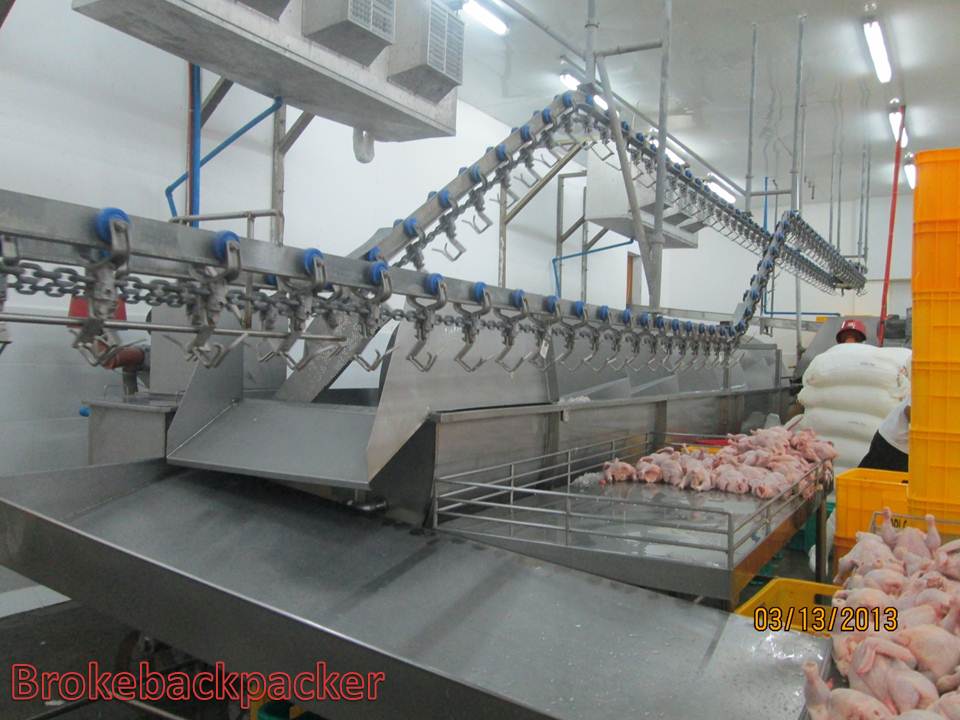 brokebackpacker Chicken Dressing Plant Process Flow