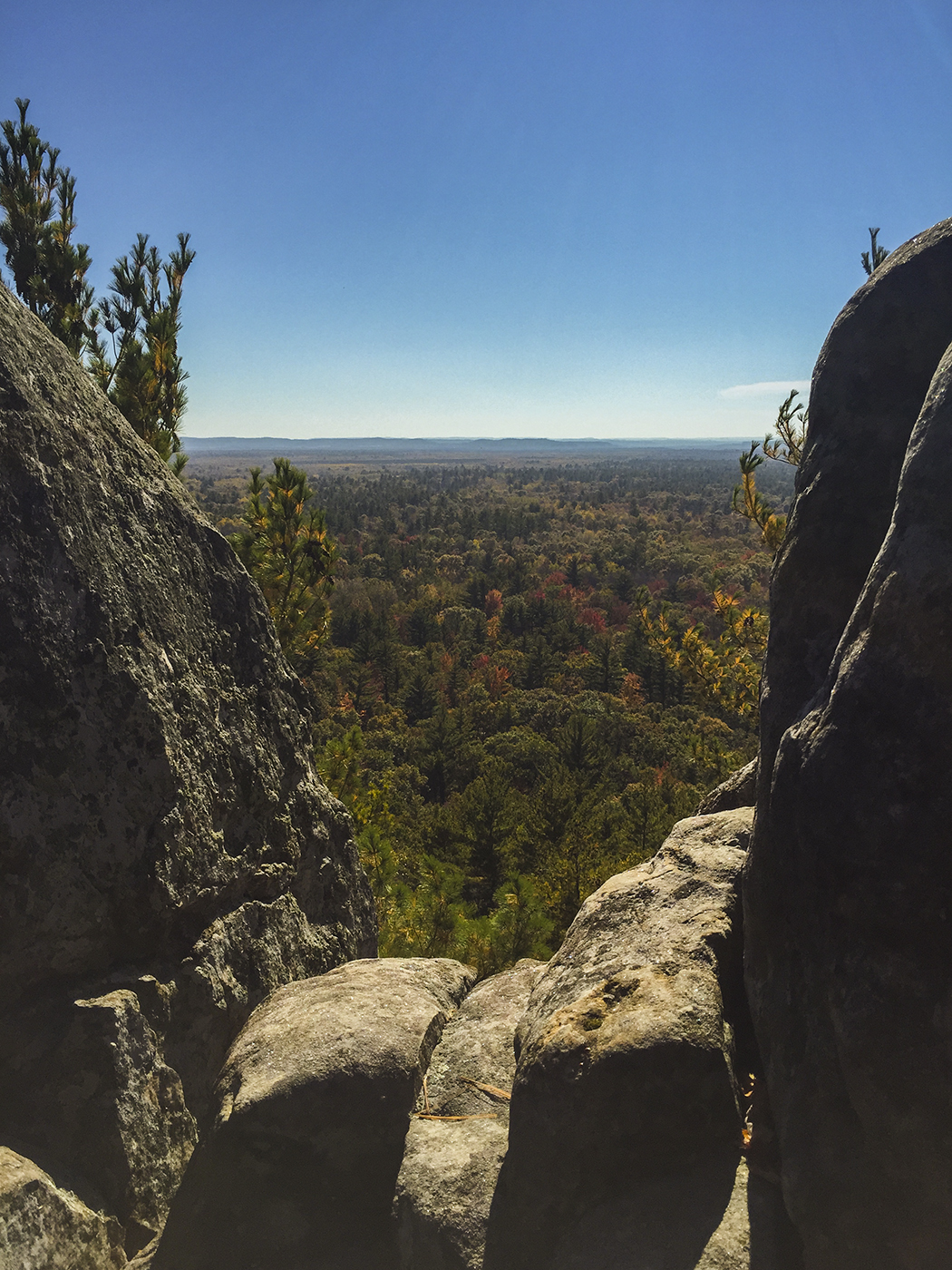 View from the lookout perch at Castle Mound in the Black River State Forest