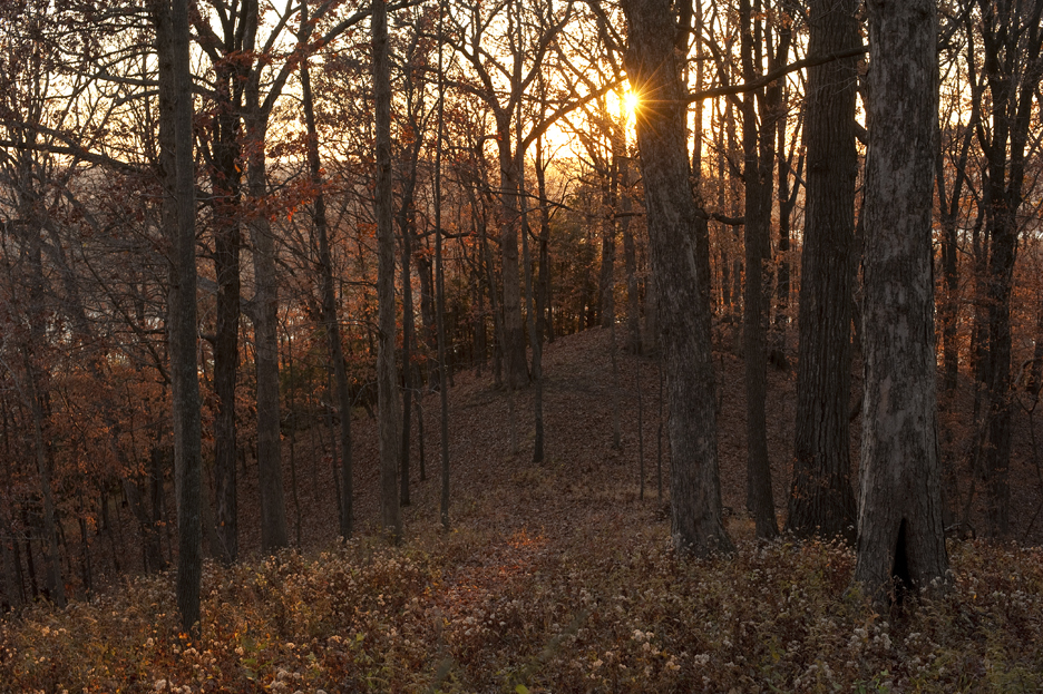 Missouri in Color Missouri River Hills in November