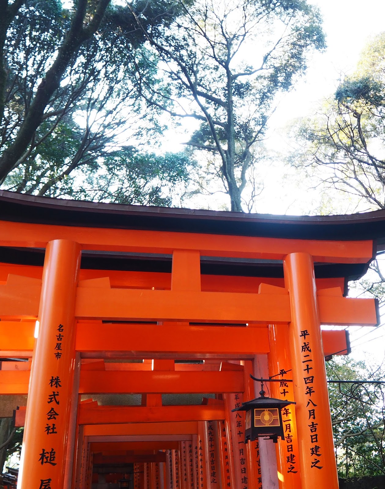 Fushimi Inari Taisha Shrine,