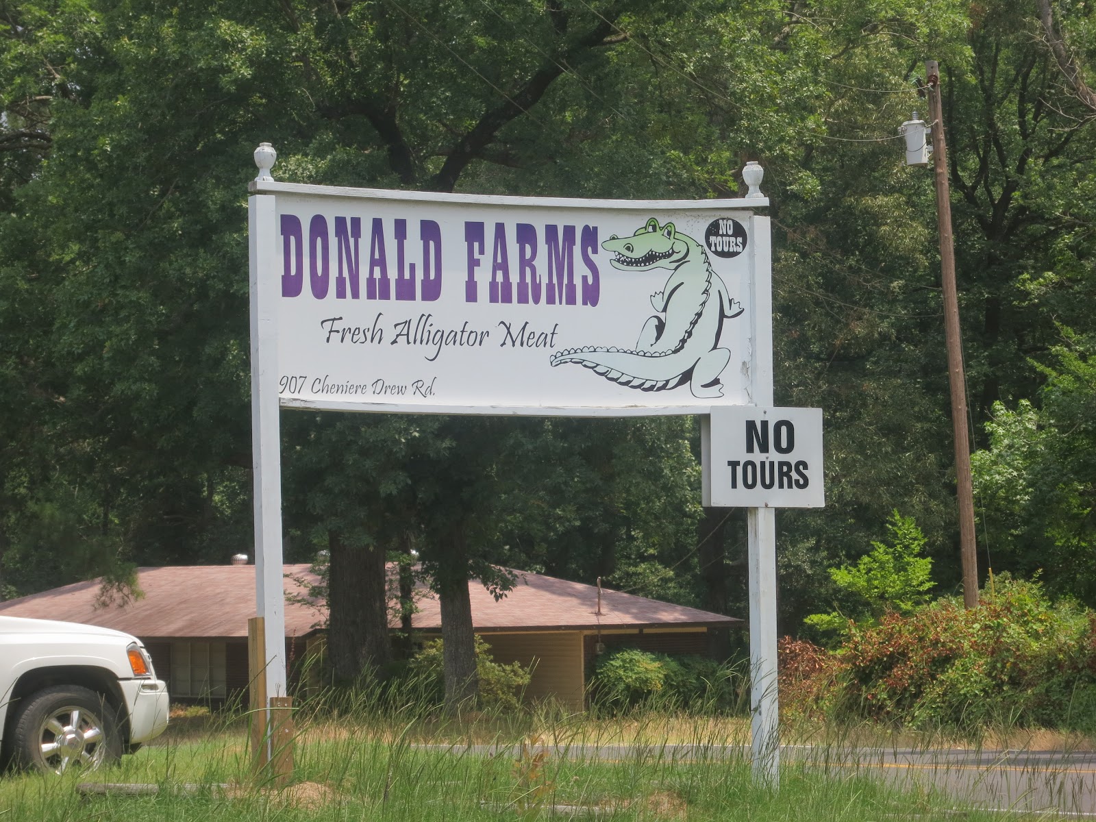 PrunePicker Fresh Alligator meat.