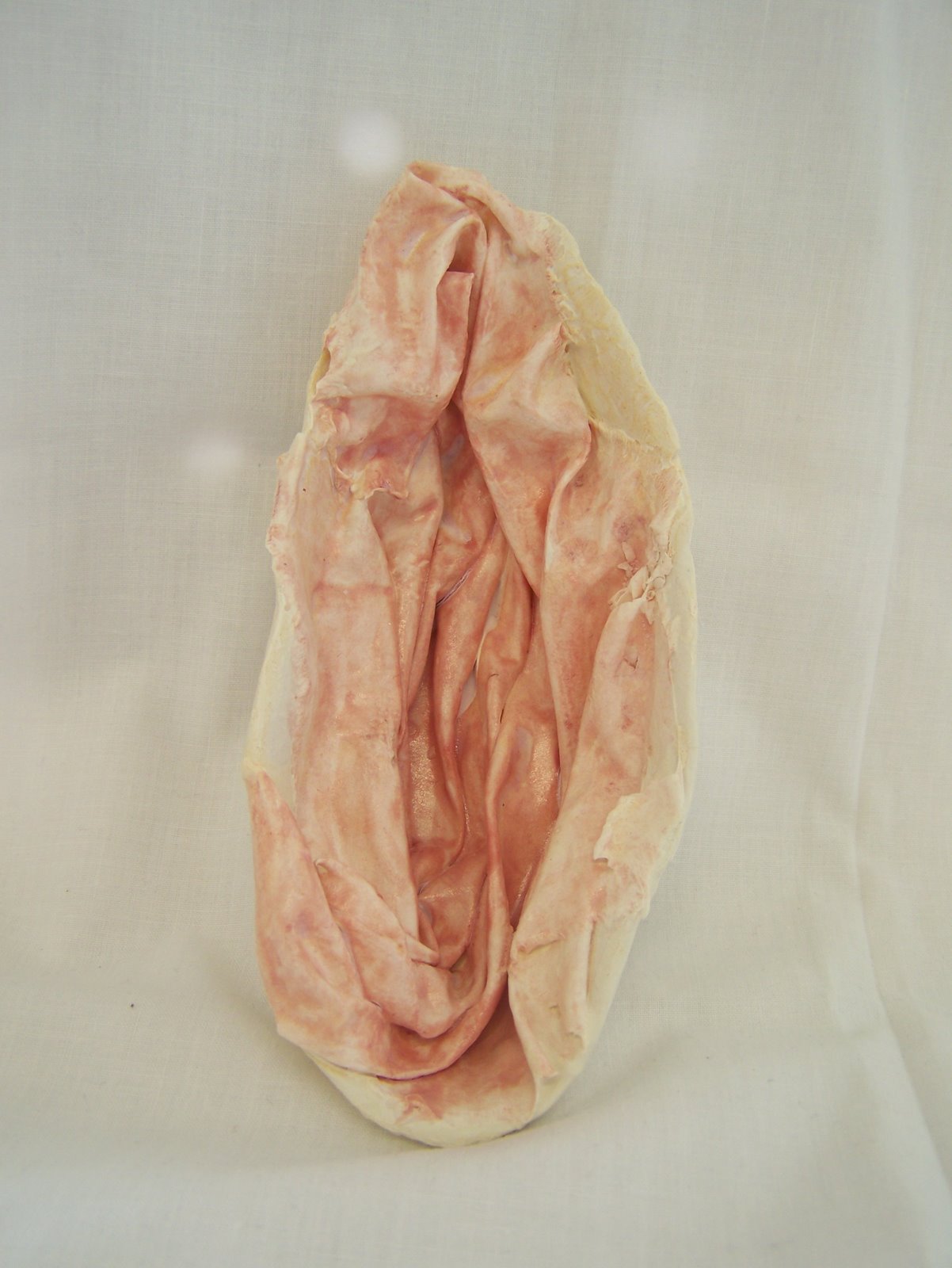 Jenna Leigh Other Artists exloration of slip casting fabric