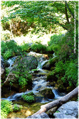 Nacimiento río Mundo