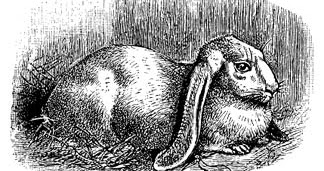 The Book Shelf: The Easter Bunny in Ancient Mythology by Katharine ...