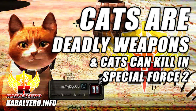 Cats Are Deadly Weapons And Cats Can Kill As Cat Guns In Special Force 2