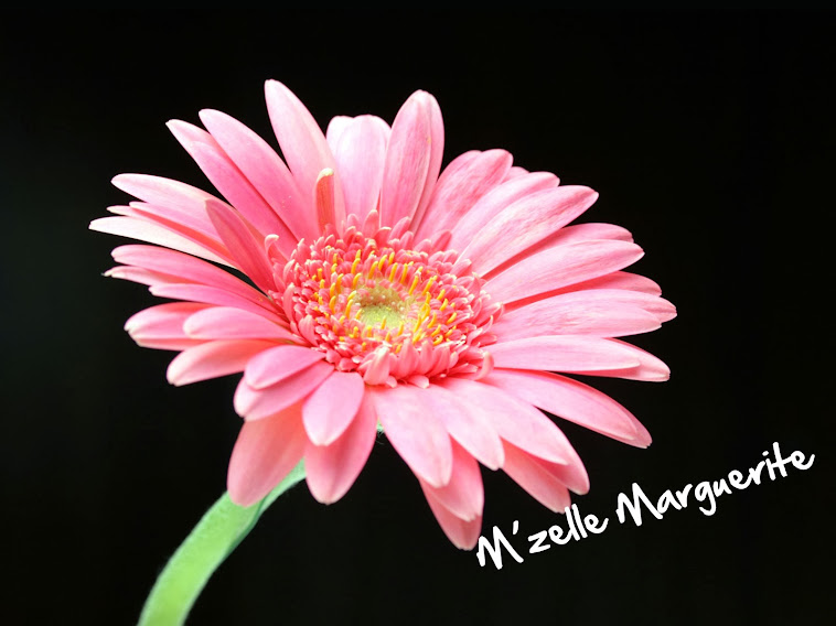 M'zelle Marguerite Savon "Dove like" 1/4 de creme hydratante