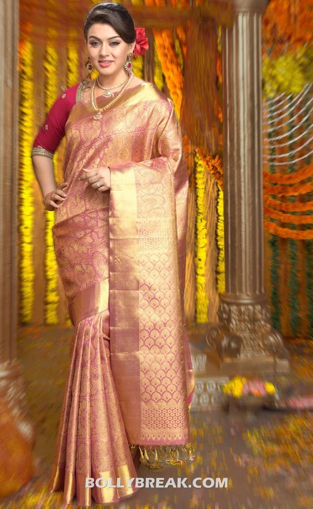  Hansika motwani in the Ad for The Chennai Silk sari 