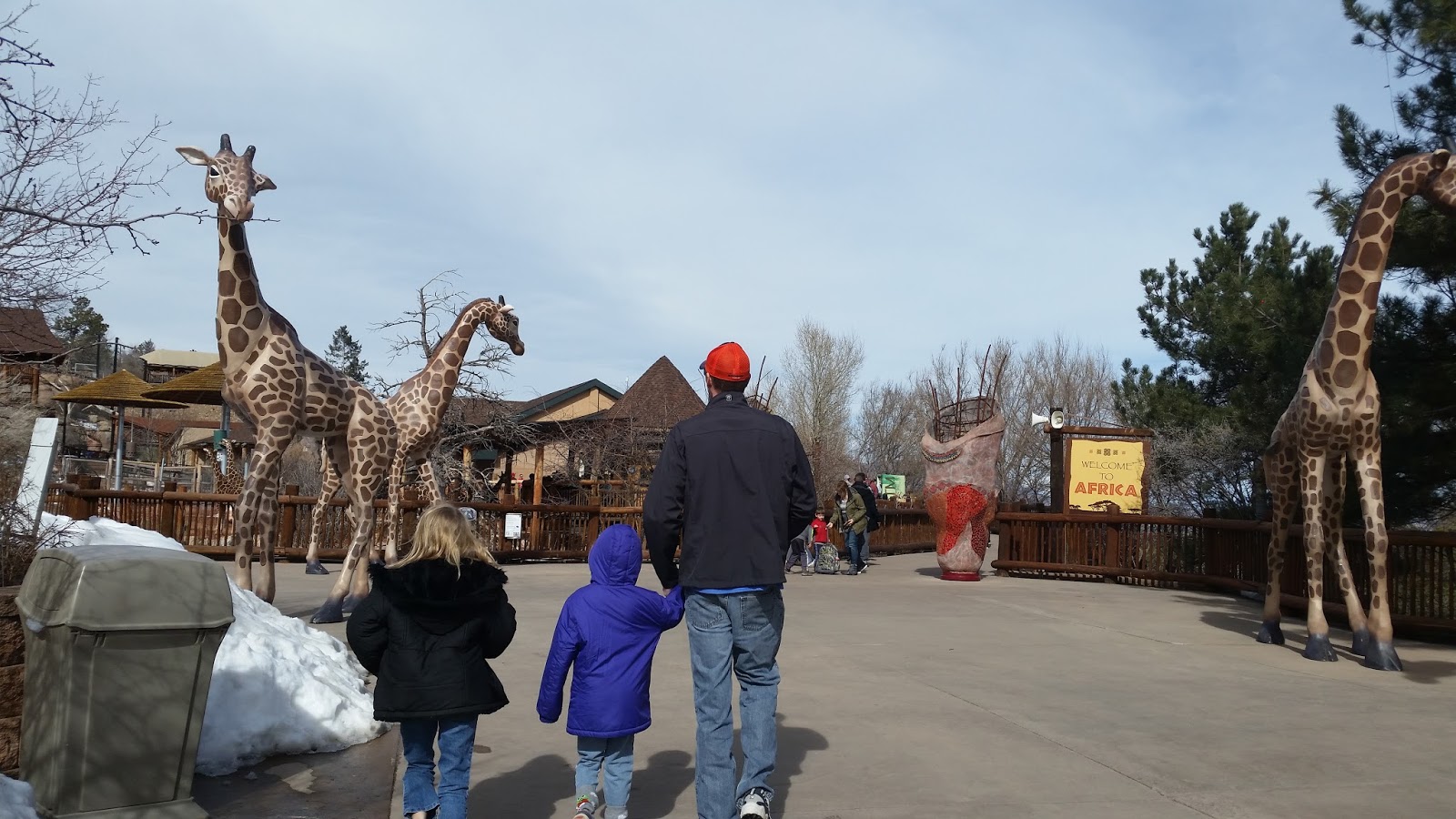 Explore Colorado: Cheyenne Mountain Zoo ~ Outdoor Feeding Time with the