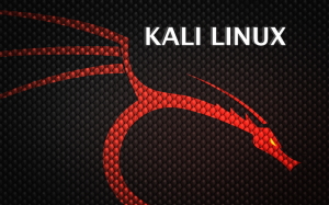 Kali - Linux instalandolo en máquina virtual 