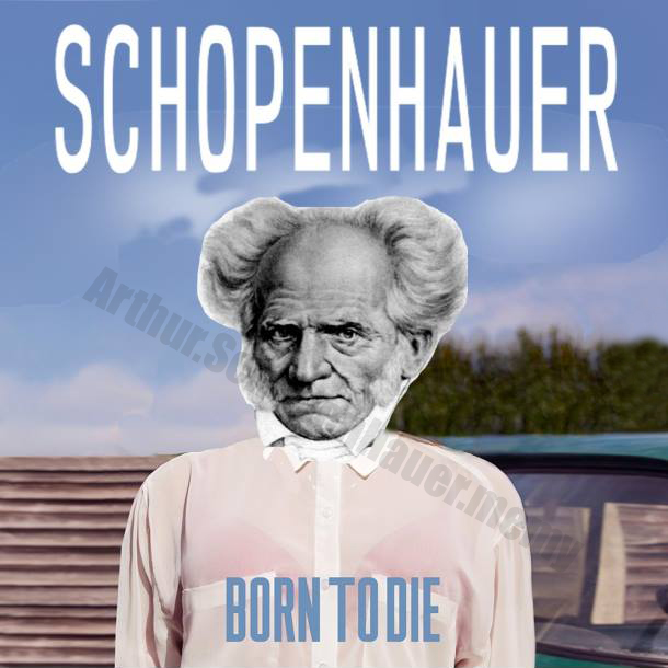 Ból istnienia Schopenhauera