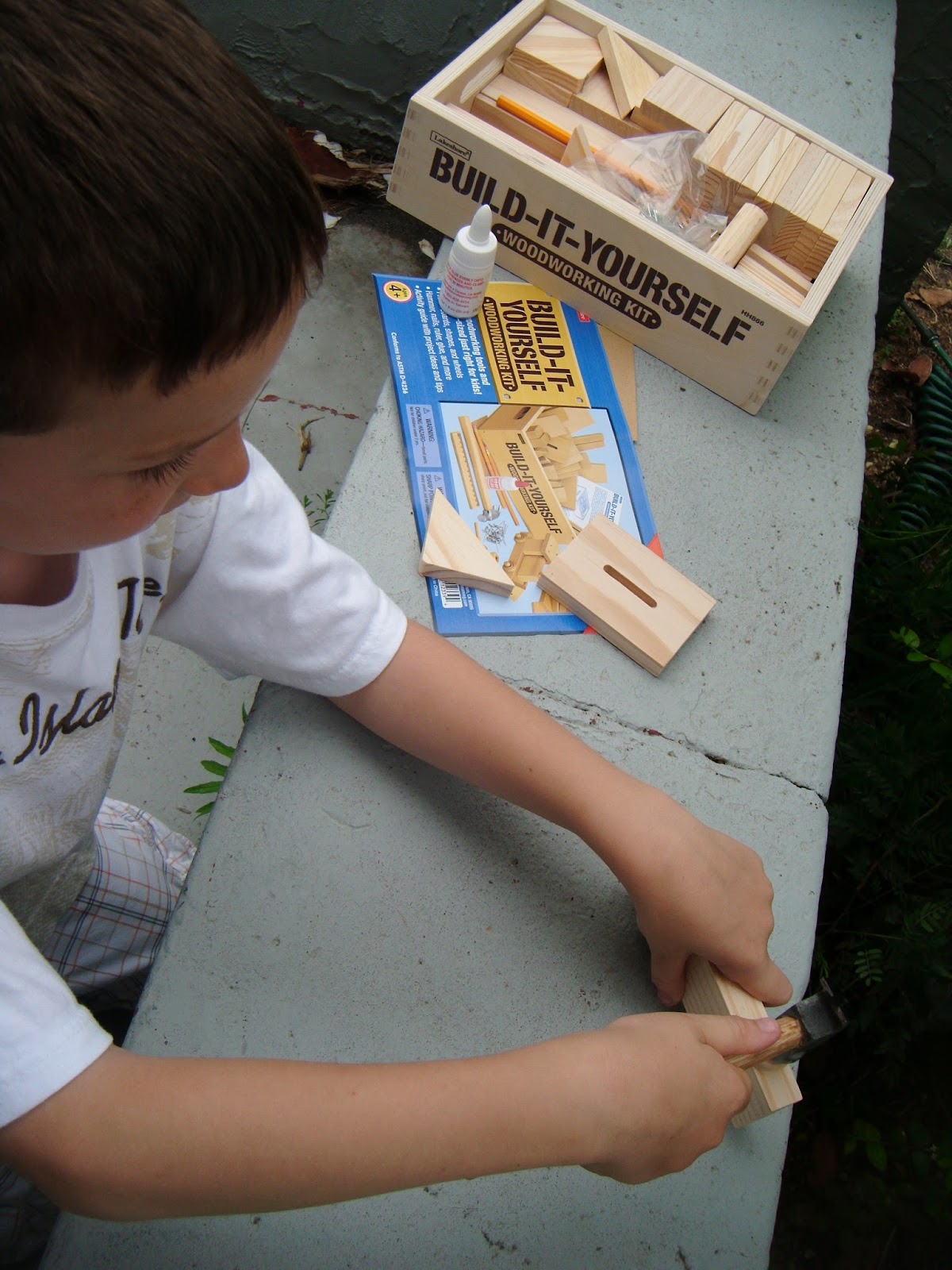 Build-It-Yourself Woodworking Kit at Lakeshore Learning  Woodworking kits,  Woodworking kit for kids, Woodworking for kids
