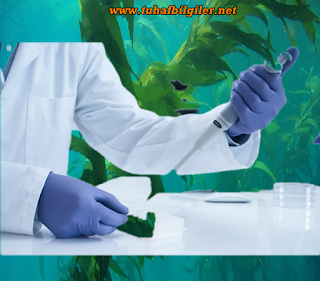 diyatom dayanıklı biyolojik madde