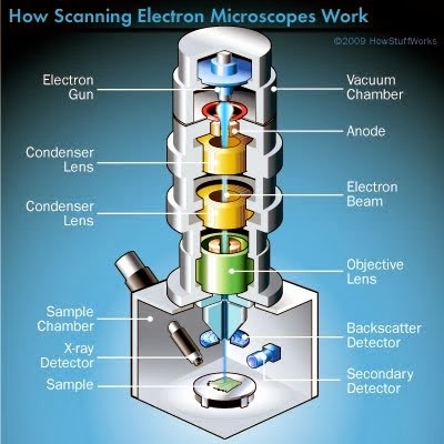 THE ELECTRON MICROSCOPE!