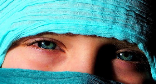 افضل شركات الربح من الانترنت عن طريق الاستثمار