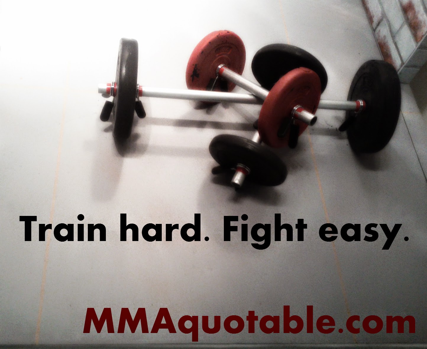 Motivational Quotes With Pictures Many Mma And Ufc Train Hard Fight Easy