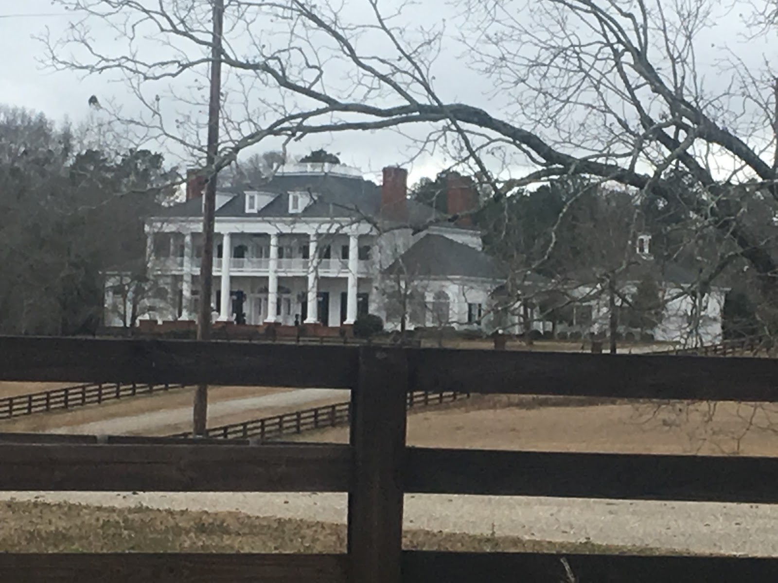 EndangeredSwimmer Fleahop, Alabama