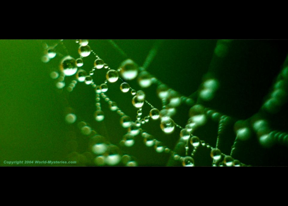 Digital Desktop Wallpapers