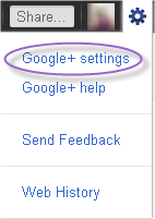 Google Plus Update Via SMS