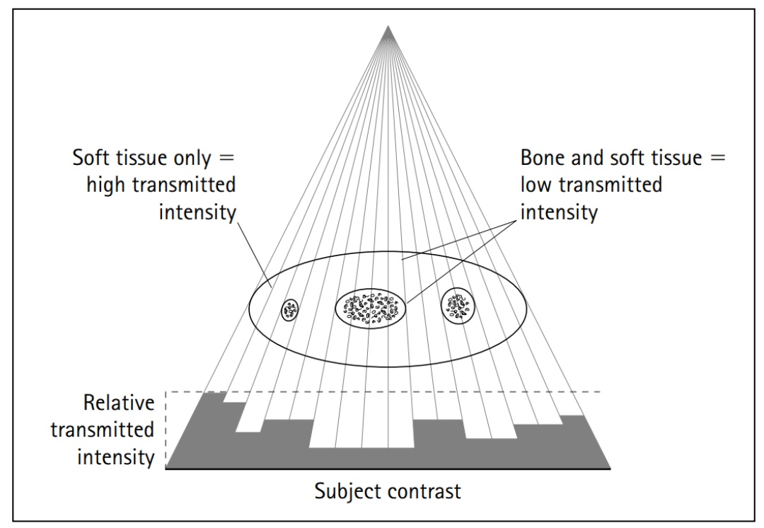 Clark's Radiography Density and contrast