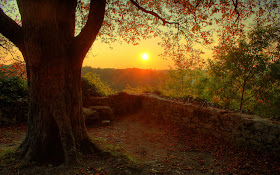 High Resolution Nature Wallpaper 