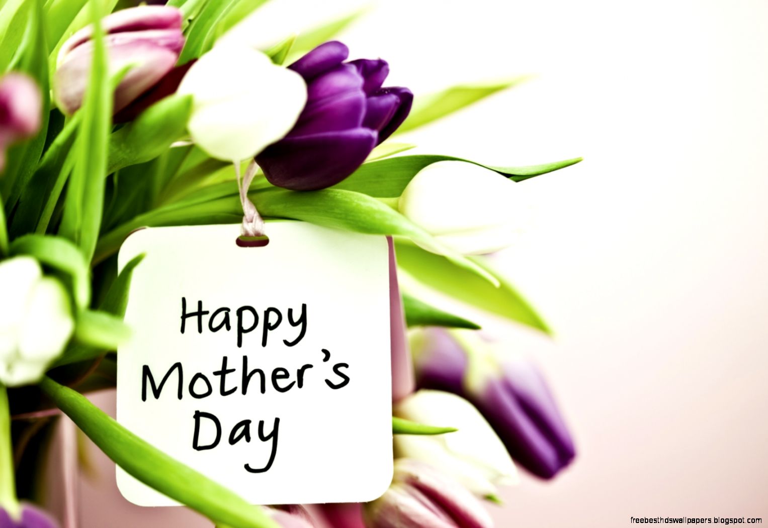 Mothers Day Gift Guide – Lincoln Center