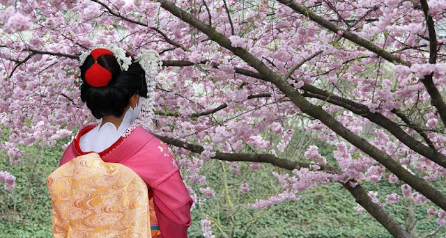 8 điểm ngắm hoa anh đào đẹp nhất Nhật Bản