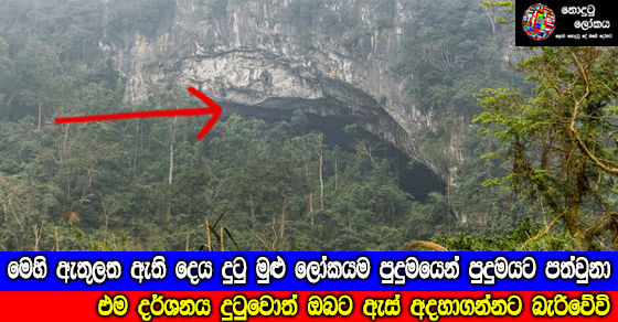 Share