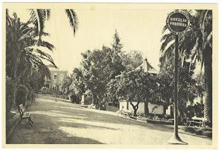 OLD PHOTOS / Jardim João José da Luz, Castelo de Vide, Portugal