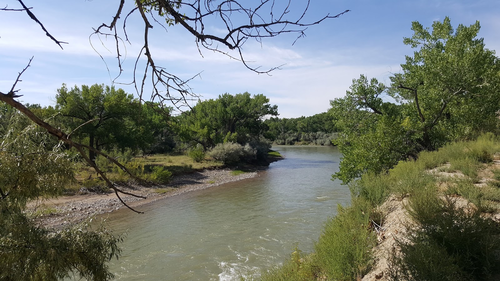 view from the thirteenth floor animas, mountains, and forests