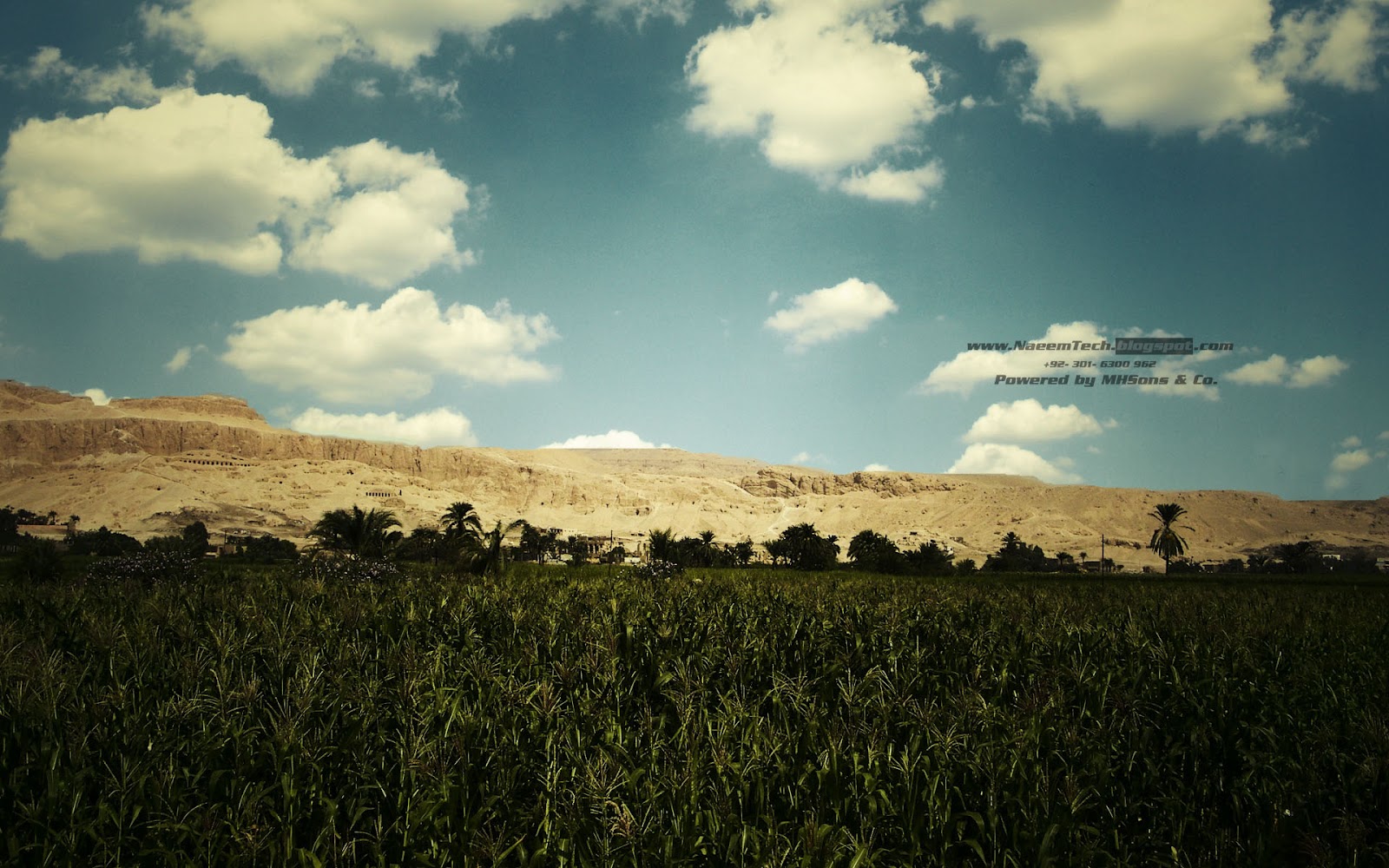 Download HD Widescreen Wallpaper Pack 2012 (2650x1600) - Free Download