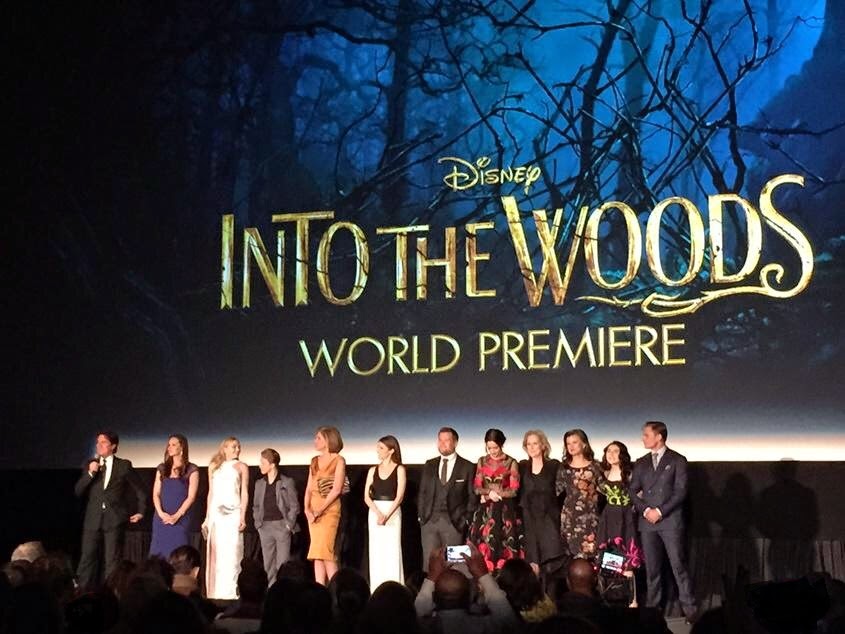 Average Socialite™ Into the Woods Red Carpet Premiere & After Party, NYC