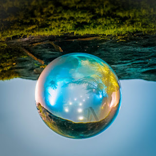 Turning the world upside-down - Geoffrey Dunn - Natureza