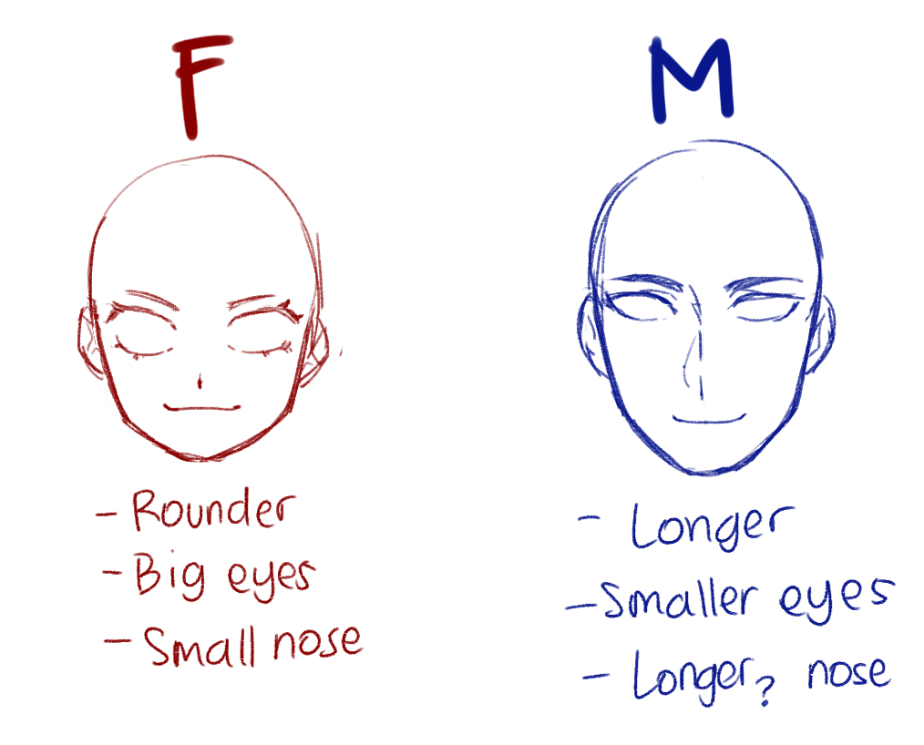 Artblog Simple Anime Anatomy For Female And Male