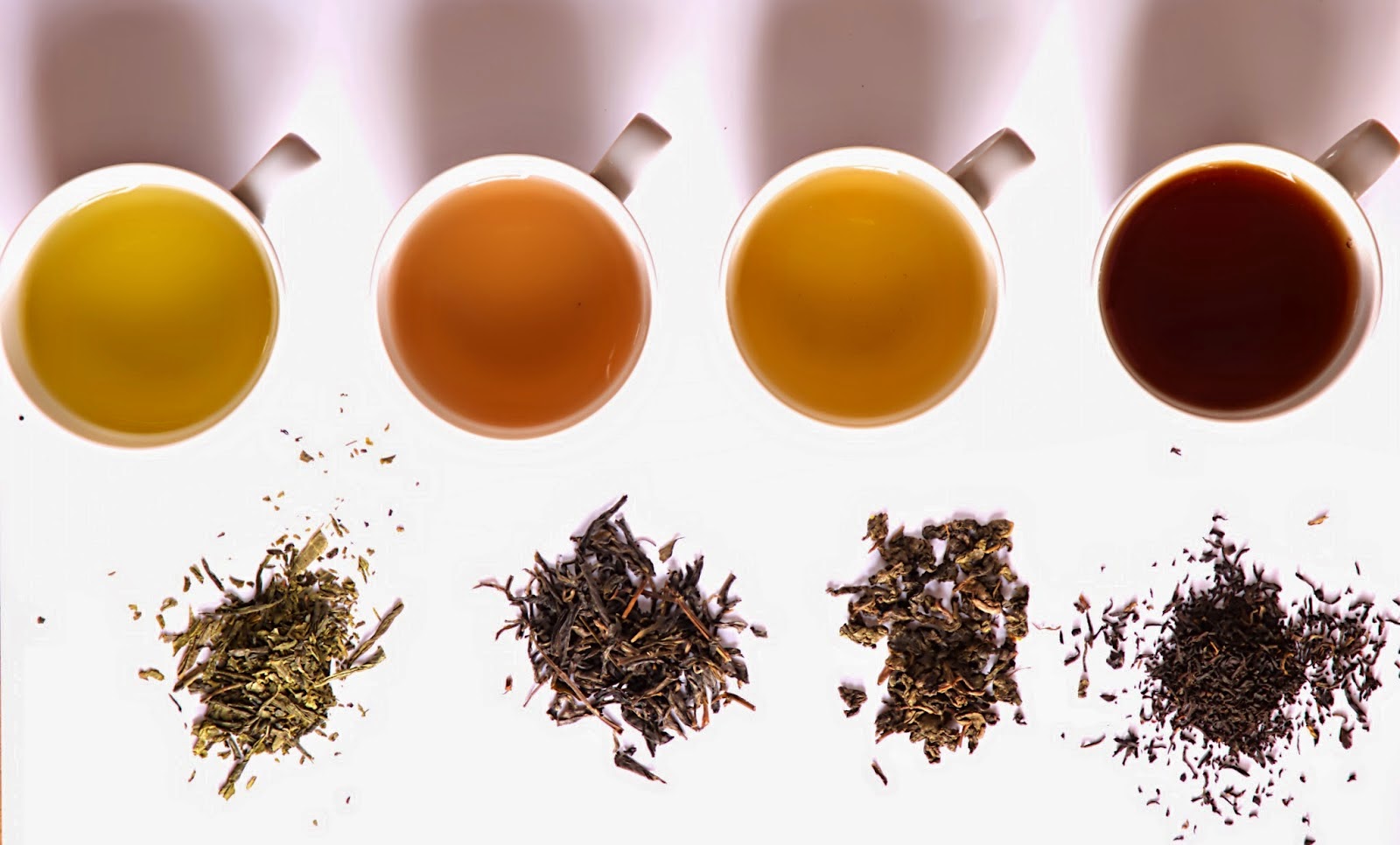 Darjeeling tea benefits Healthy Tea 101