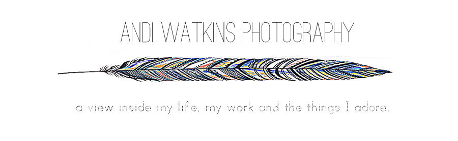 Andi Watkins Photography