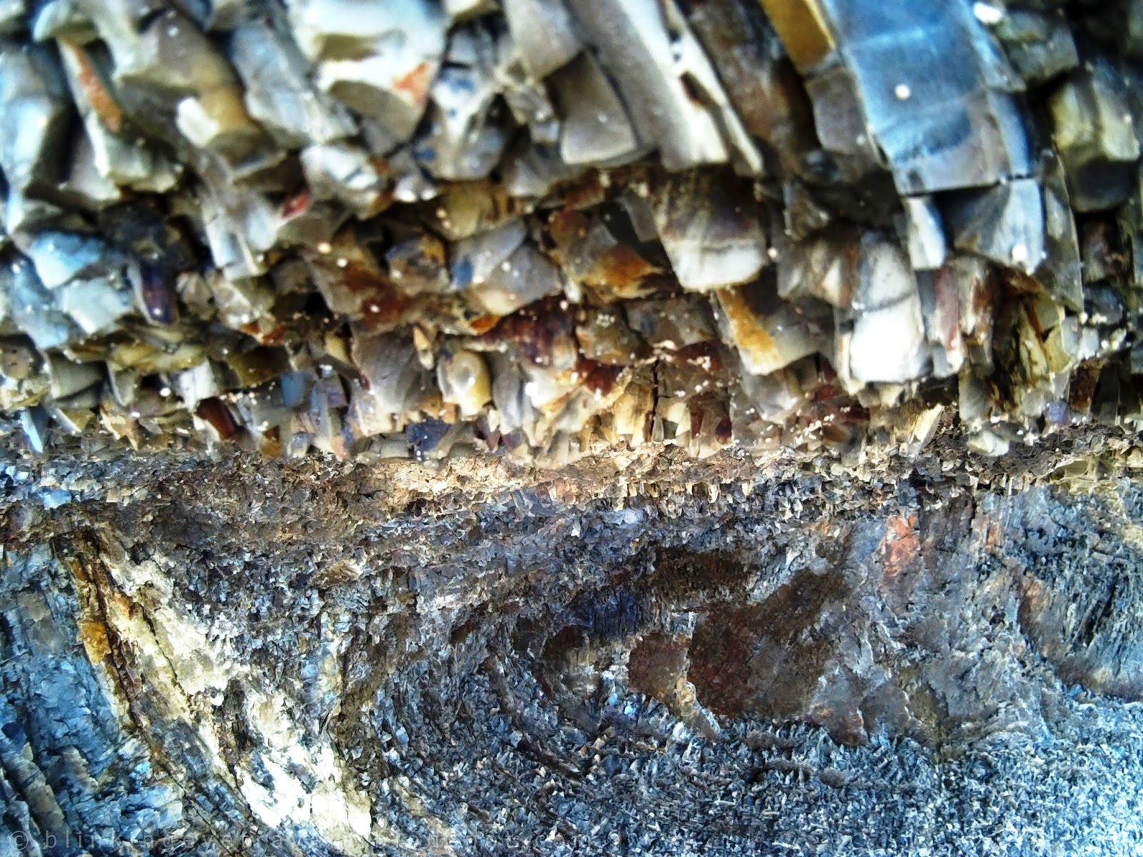 CROCODILE ISLAND | CAGAYAN VALLEY | blinkingeye_travels