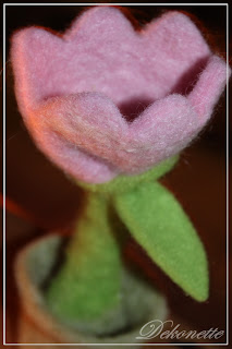 Mowenblick Luftbildagentur Luftbilder Aus Der Norddeutschen Region