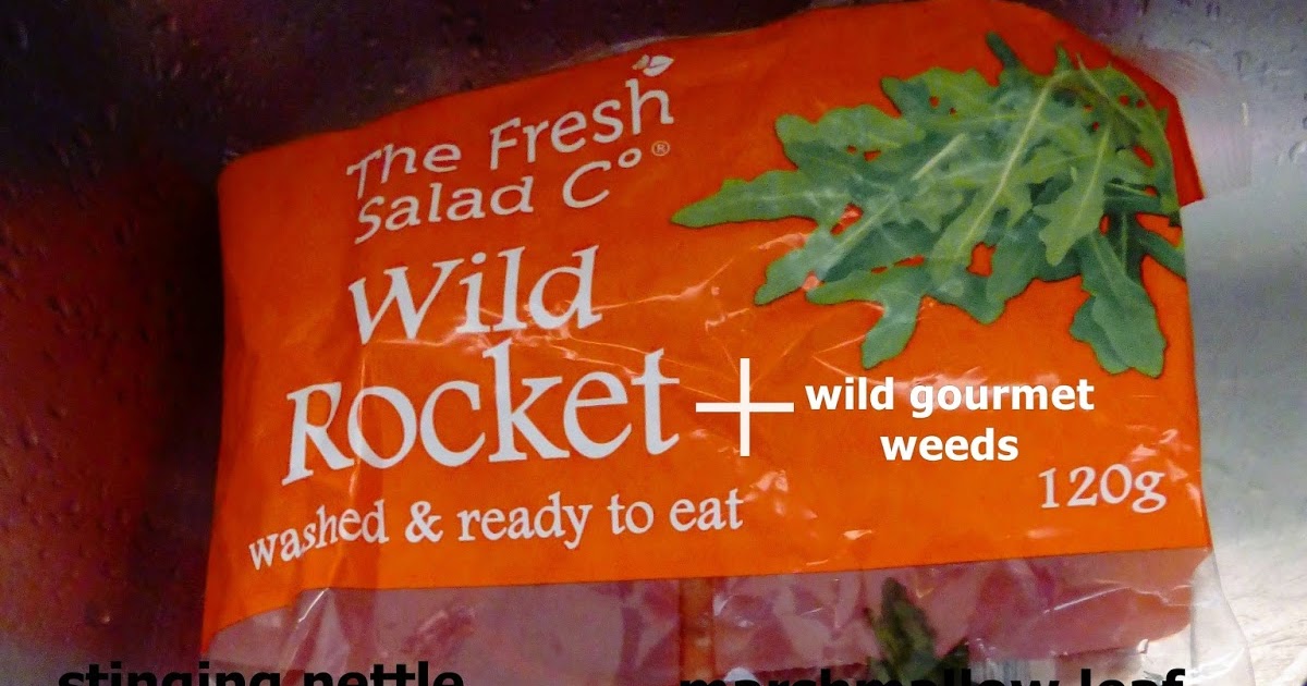 Ballarat Aldi Salad Leaf Packed With Weeds Review Queentulip