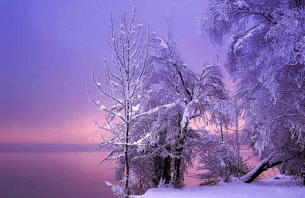 Las más bellas fotos de paisajes invernales. 
