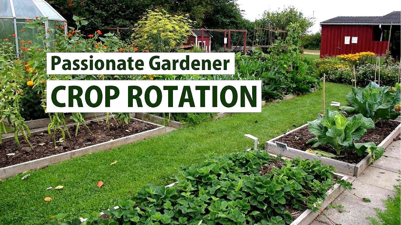 Vegetable Garden Crop Rotation - Vege Choices