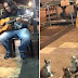 A Street Musician Had Decided To Quit, Until These Little Guys Showed Up