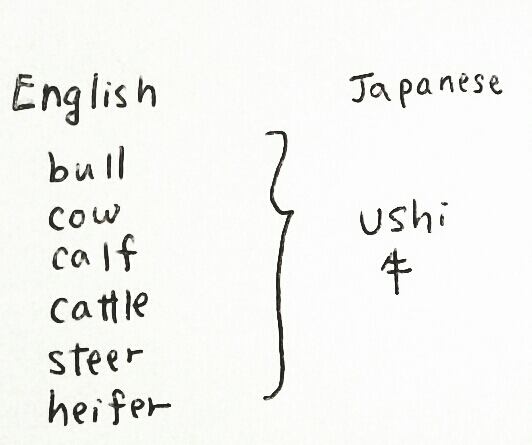 たのしいnihongo Learning Japanese 日本語 の キーボー ド