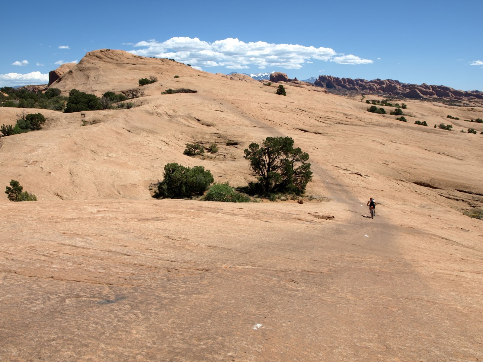 Pulleritsu/Scanpixi spordiblogi: Dr Leho Rips: Väärt nõu sporditraumade ...